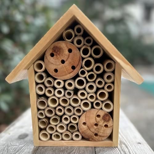 Mason Bee Houses Outdoor Wooden Bee Hotel for Garden and Yard Hand-Made Bamboo Bee Hive for Bees Butterflies and Ladybugs, Medium Size 8″x7.5″x5″, Natural Finish