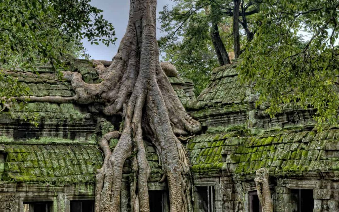 5 reasons Cambodia belongs on every luxury traveller’s bucket list